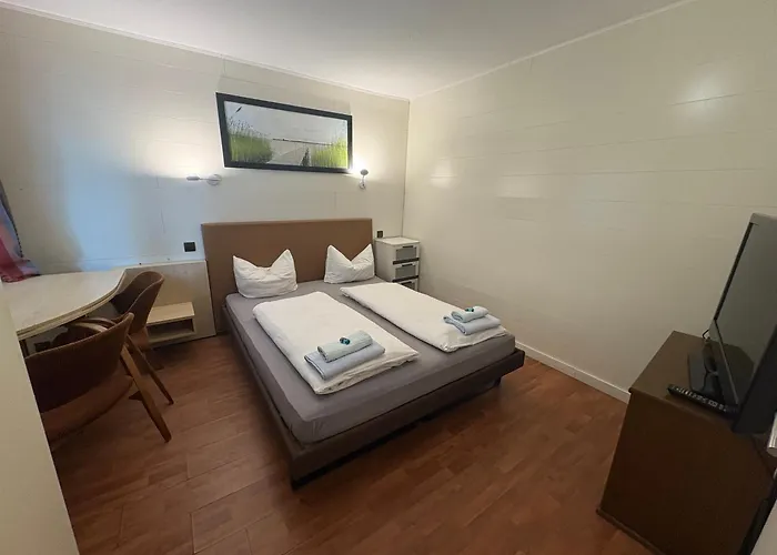 ホテル Lessinghof 3*